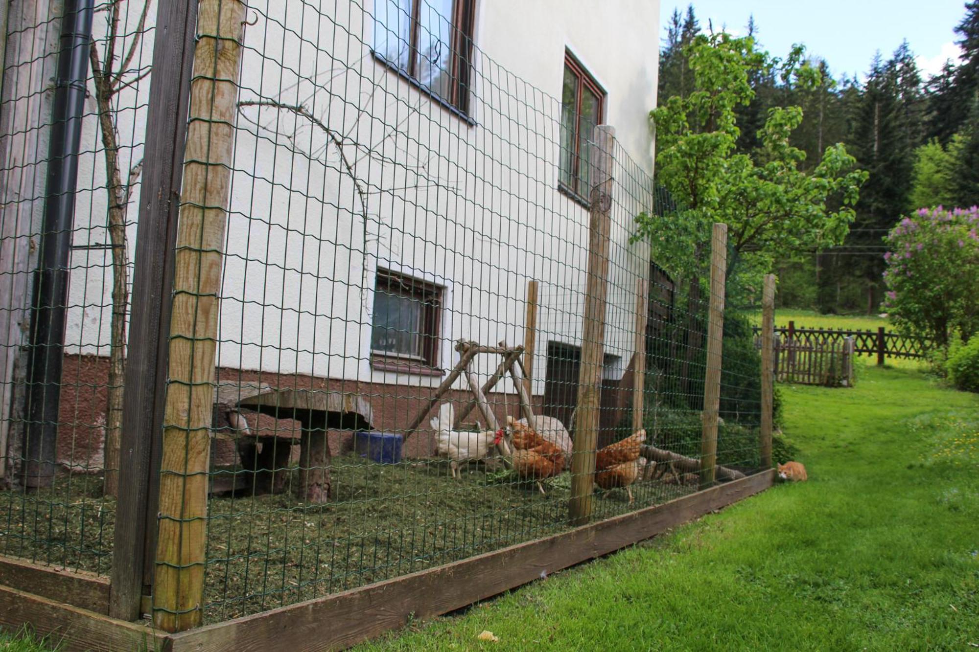 Frieda'S Platzl Apartman Abtenau Kültér fotó